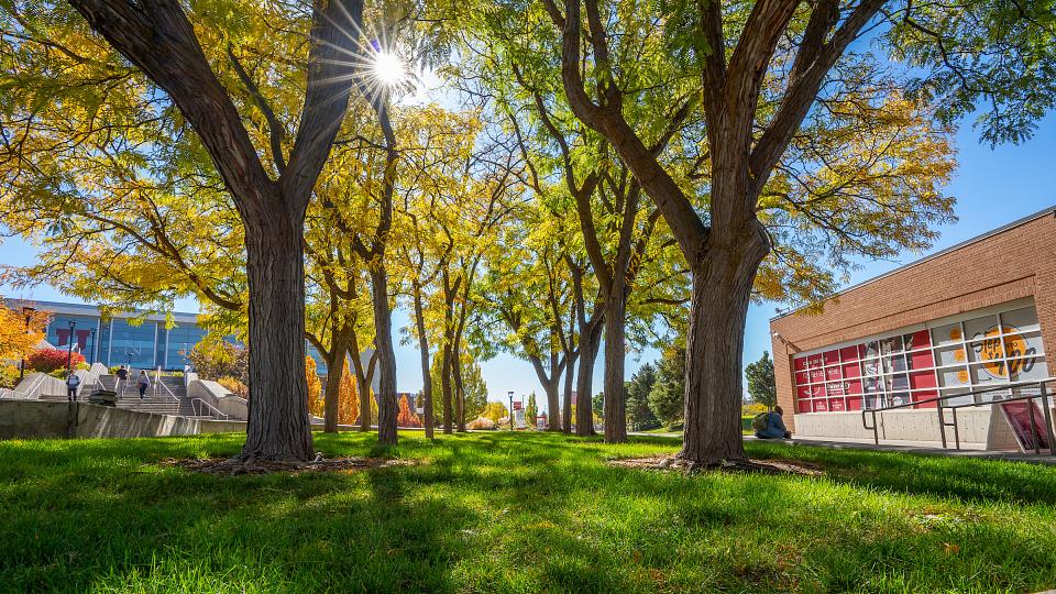 Research News & Announcements University of Utah Health University